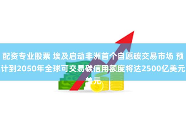 配资专业股票 埃及启动非洲首个自愿碳交易市场 预计到2050年全球可交易碳信用额度将达2500亿美元