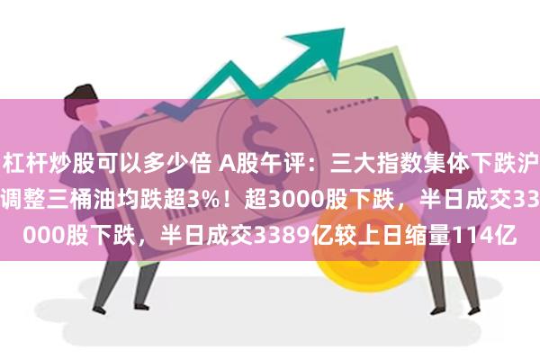 杠杆炒股可以多少倍 A股午评：三大指数集体下跌沪指跌0.92%，红利股调整三桶油均跌超3%！超3000股下跌，半日成交3389亿较上日缩量114亿