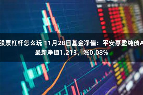 股票杠杆怎么玩 11月28日基金净值：平安惠盈纯债A最新净值1.213，涨0.08%