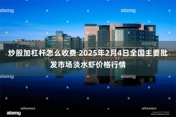 炒股加杠杆怎么收费 2025年2月4日全国主要批发市场淡水虾价格行情