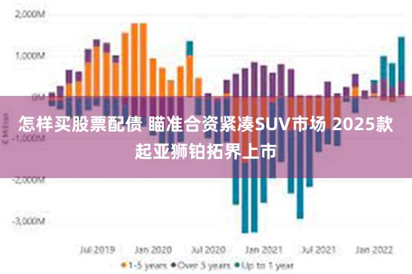 怎样买股票配债 瞄准合资紧凑SUV市场 2025款起亚狮铂拓界上市